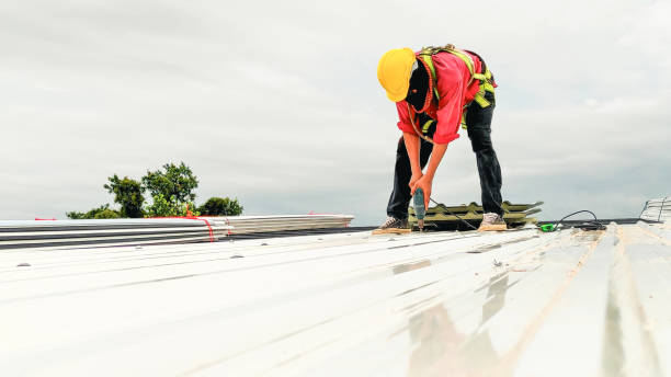 Best Steel Roofing  in Berkley, CO